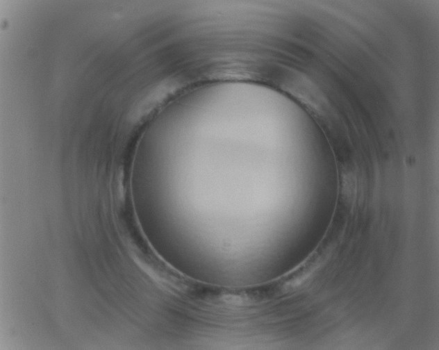 X0000062890302200601201852