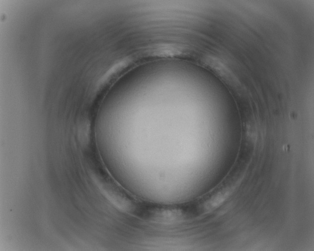 X0000062890304200601201852