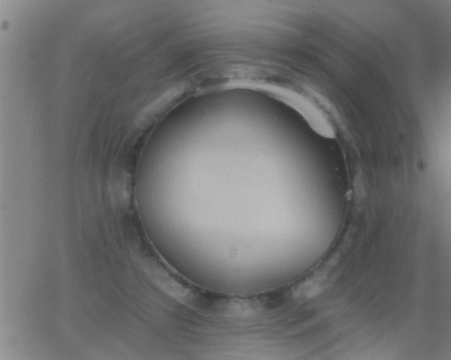 X0000062890305200601201852