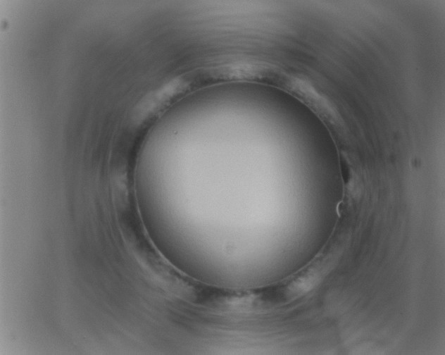 X0000062890306200601201852