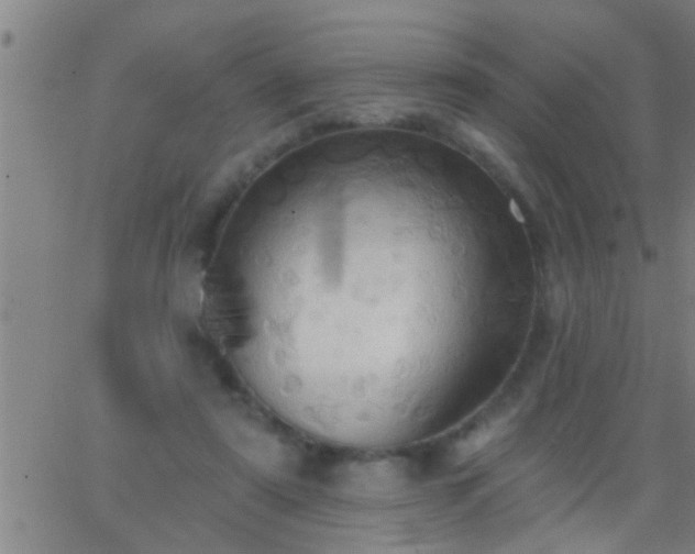 X0000062890307200601201852