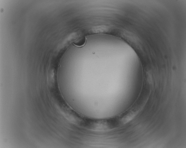 X0000062890308200601201852