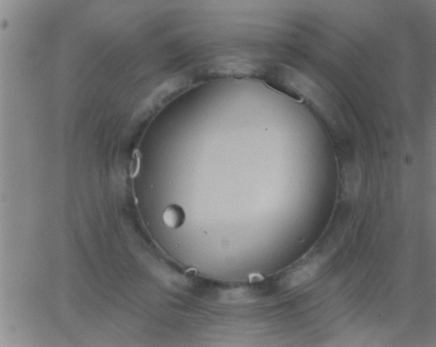 X0000062890309200601201852