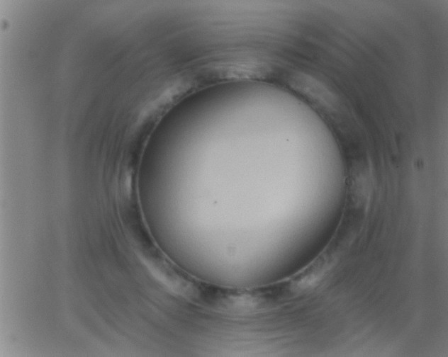 X0000062890310200601201852