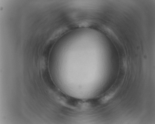 X0000062890311200601201852