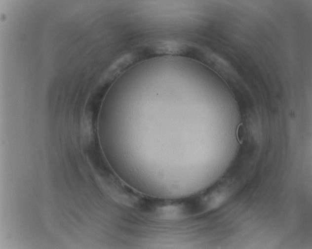 X0000062890312200601201852