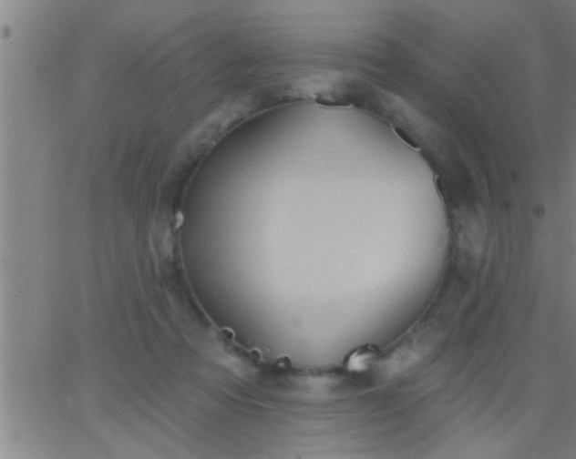 X0000062890313200601201852