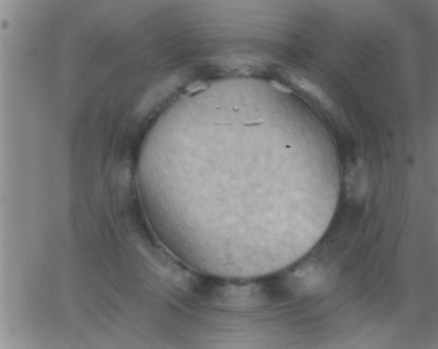 X0000062890314200601201852