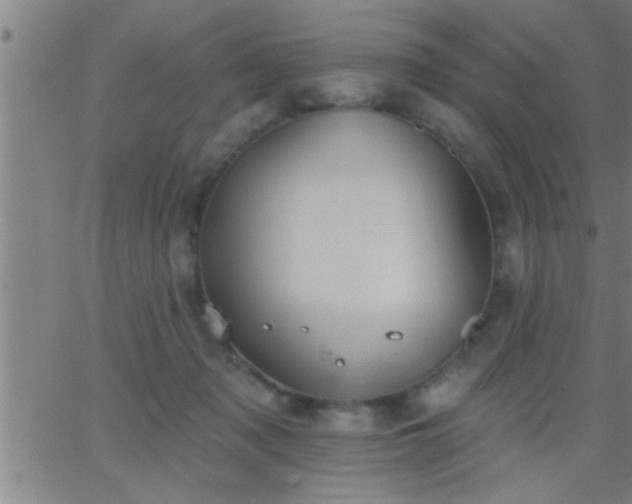 X0000062890317200601201852