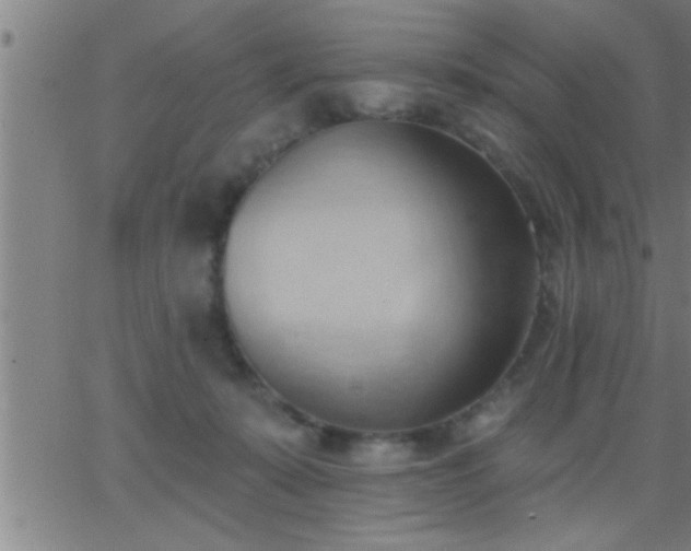 X0000062890319200601201852