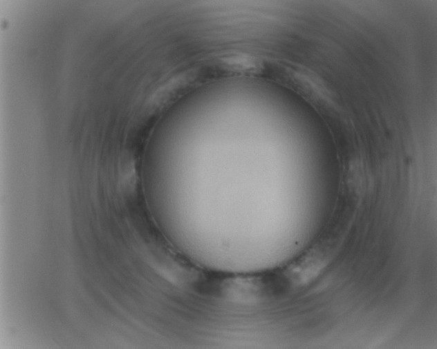 X0000062890320200601201852