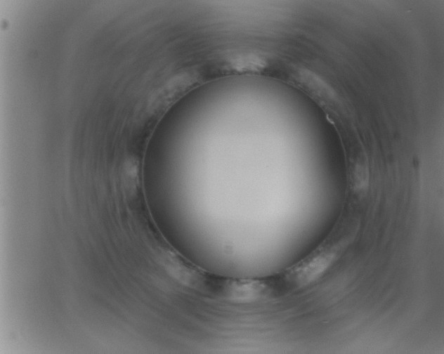 X0000062890321200601201852