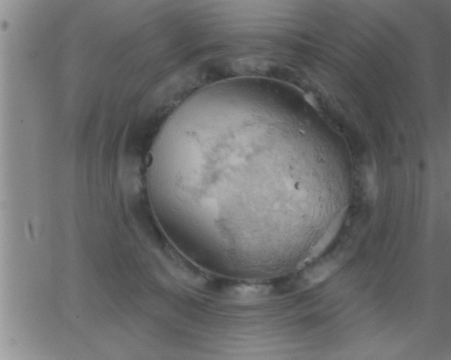 X0000062890323200601201852