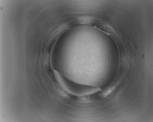 X0000062890325200601201852