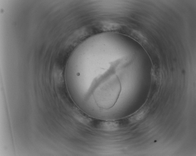 X0000062890327200601201852