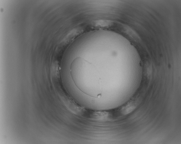 X0000062890328200601201852