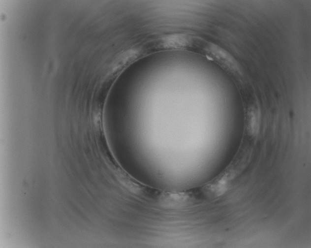 X0000062890329200601201852