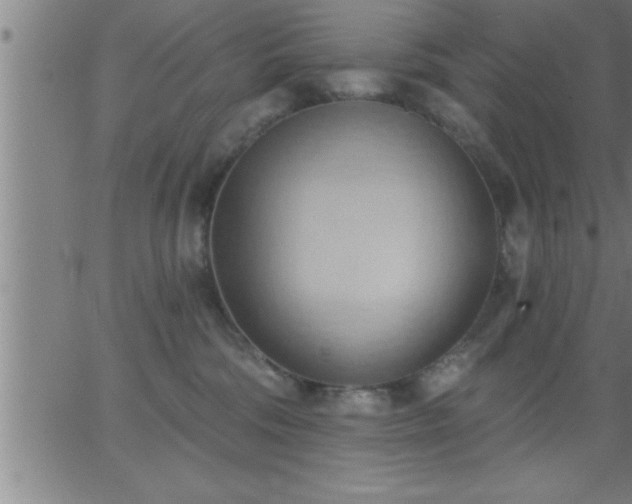 X0000062890330200601201852