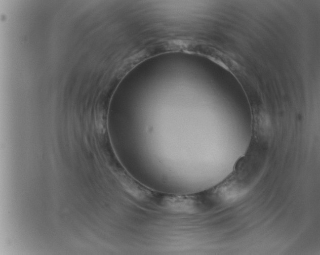 X0000062890331200601201852