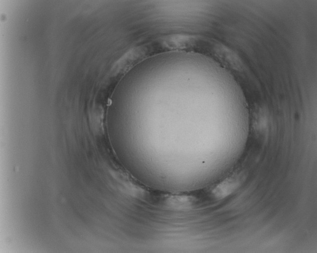 X0000062890332200601201852