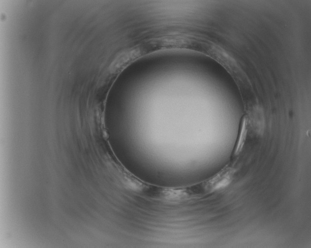 X0000062890333200601201852