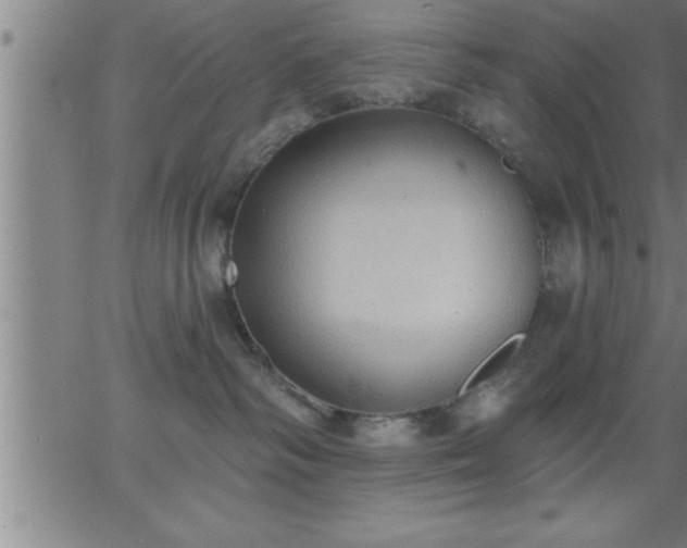 X0000062890334200601201852