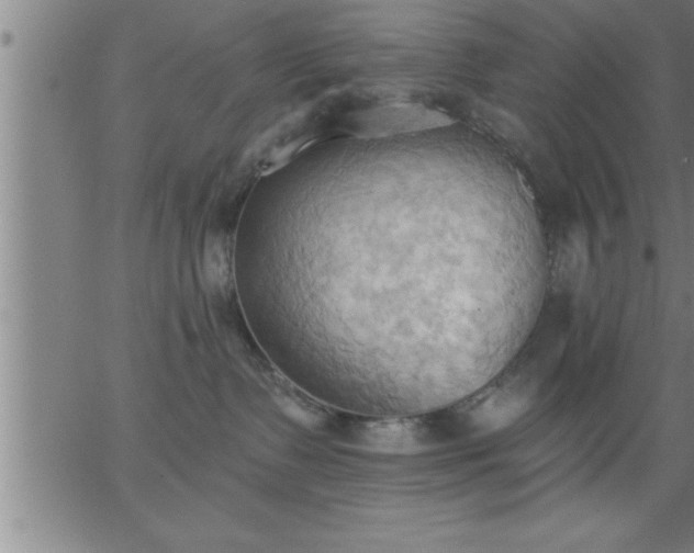 X0000062890335200601201852