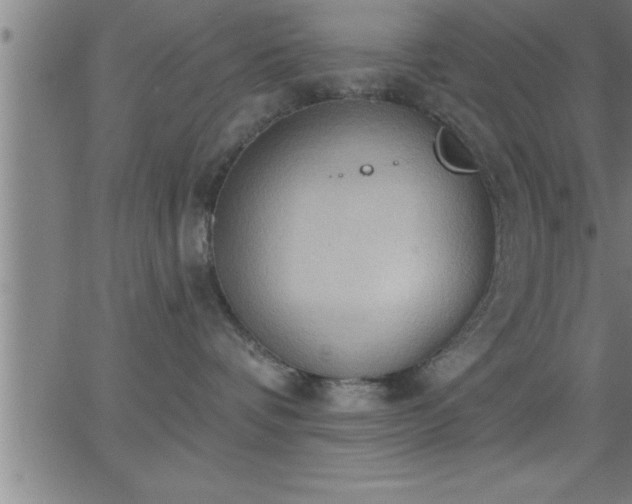 X0000062890336200601201852