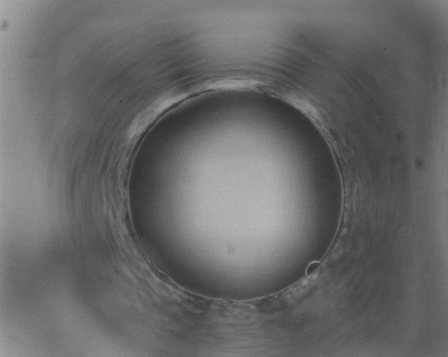 X0000062890337200601201851