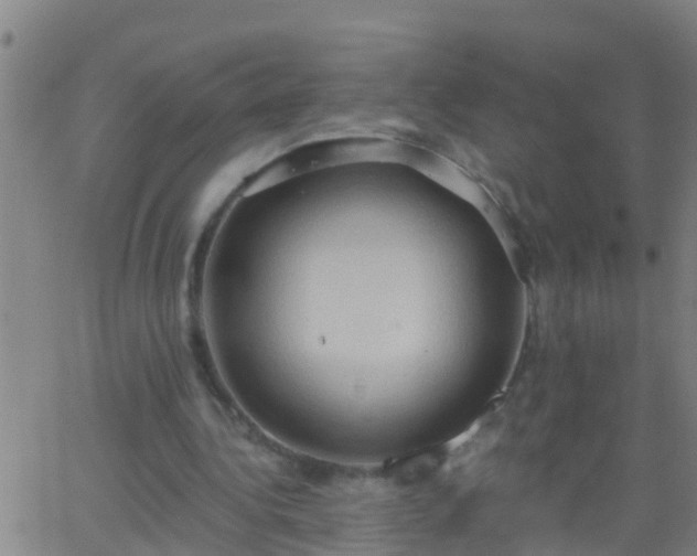 X0000062890340200601201851