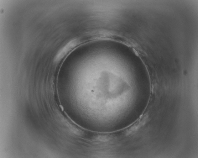 X0000062890341200601201851