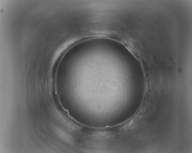 X0000062890342200601201851