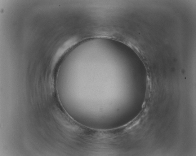 X0000062890343200601201851