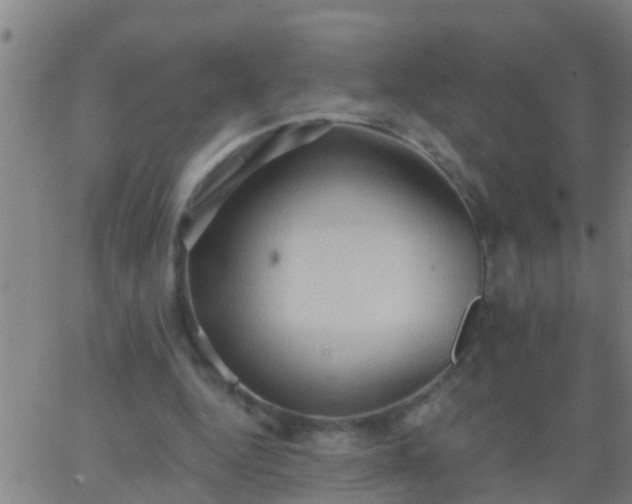 X0000062890344200601201851