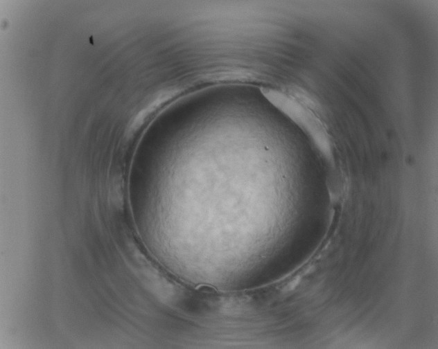 X0000062890345200601201851