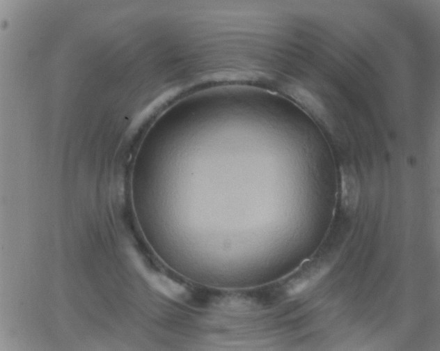 X0000062890348200601201851