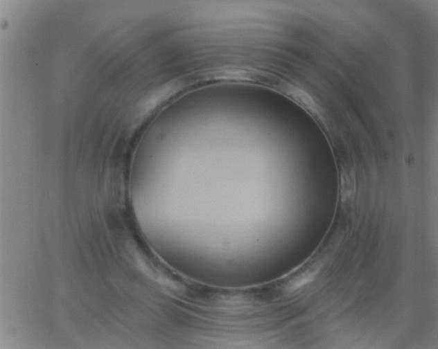 X0000062890349200601201851