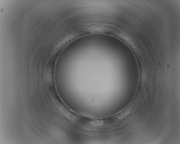 X0000062890353200601201851