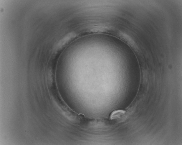 X0000062890354200601201851