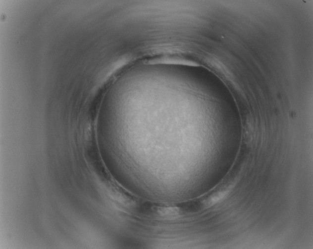 X0000062890355200601201851