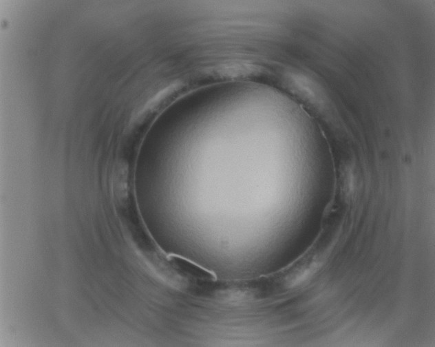 X0000062890356200601201851