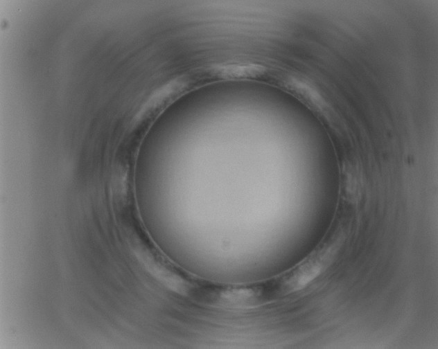 X0000062890357200601201851