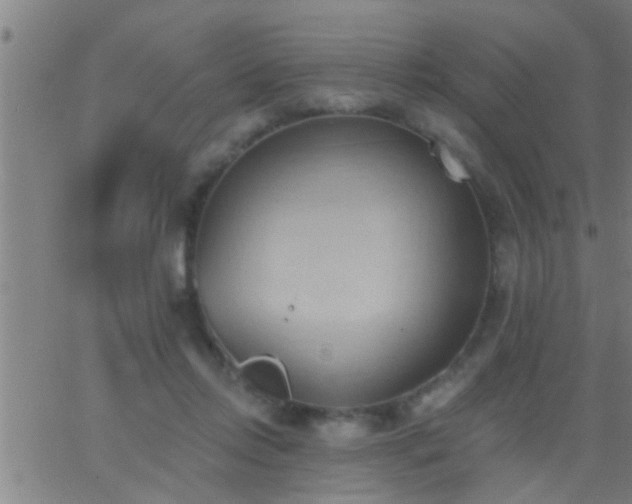 X0000062890358200601201851