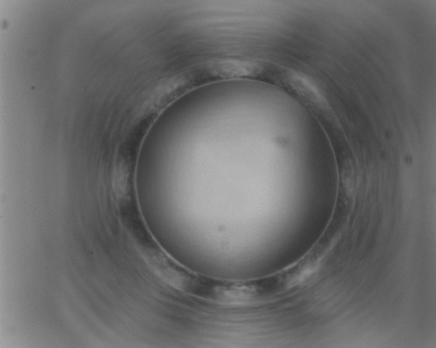 X0000062890359200601201851