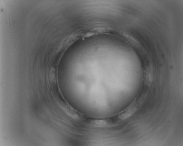 X0000062890361200601201851