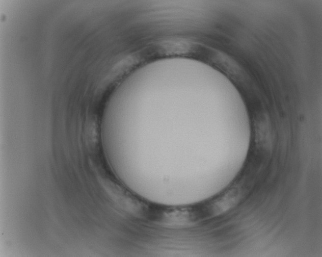 X0000062890362200601201851