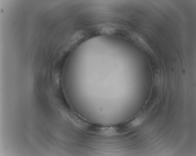 X0000062890363200601201851