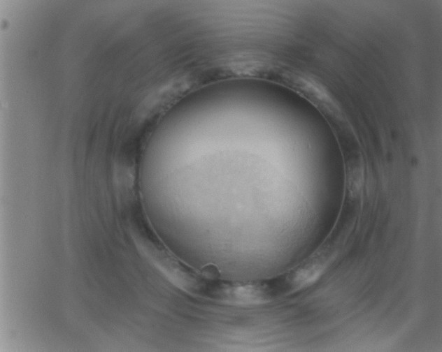 X0000062890365200601201851