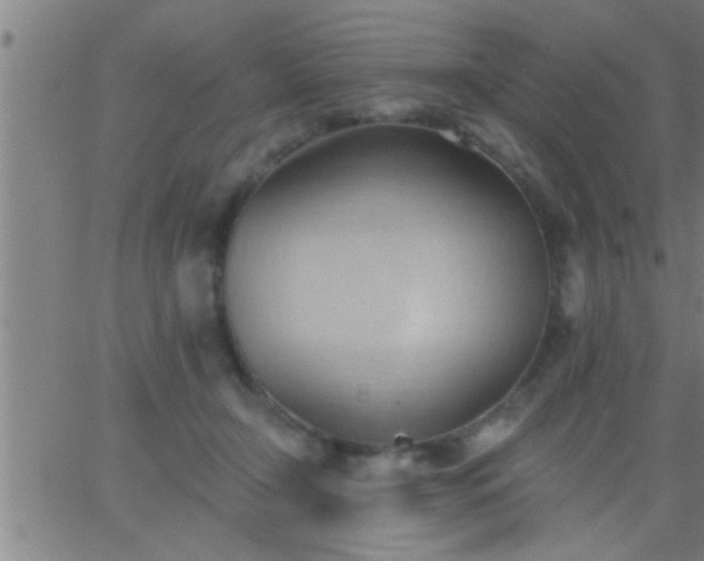 X0000062890366200601201851