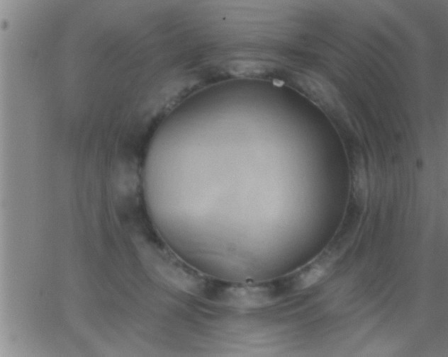 X0000062890367200601201851